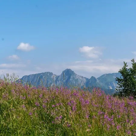 Smrekowy * 코스실리스코