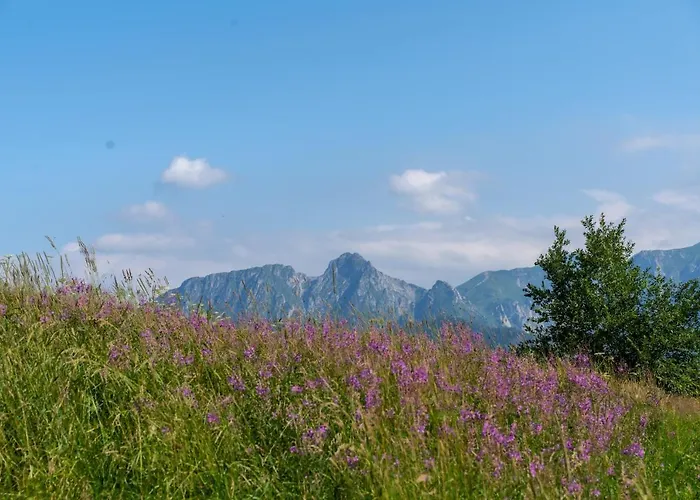 Smrekowy * 考斯赛力克